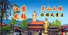 男男人免费网站江苏无锡灵山大佛旅游风景区