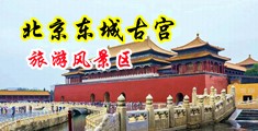 大鸡巴操哭小骚逼的视频明星美女中国北京-东城古宫旅游风景区